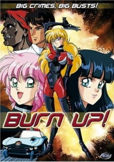 Burn Up! poster