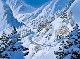 Shiokari Touge poster