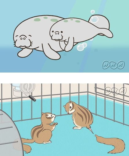 Zannen na Ikimono Jiten (Special) poster